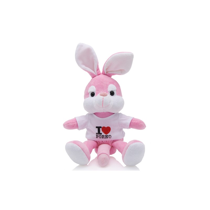 Lock S. reccomend toys rabbit