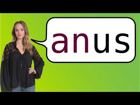 Anus in spanish