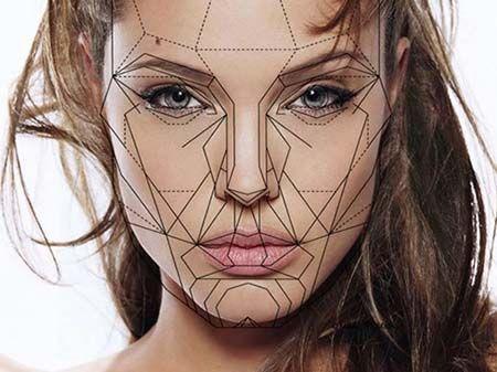 Biometrics facial journal