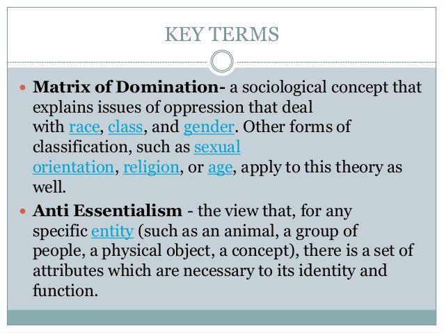 Meaning of matrix of domination