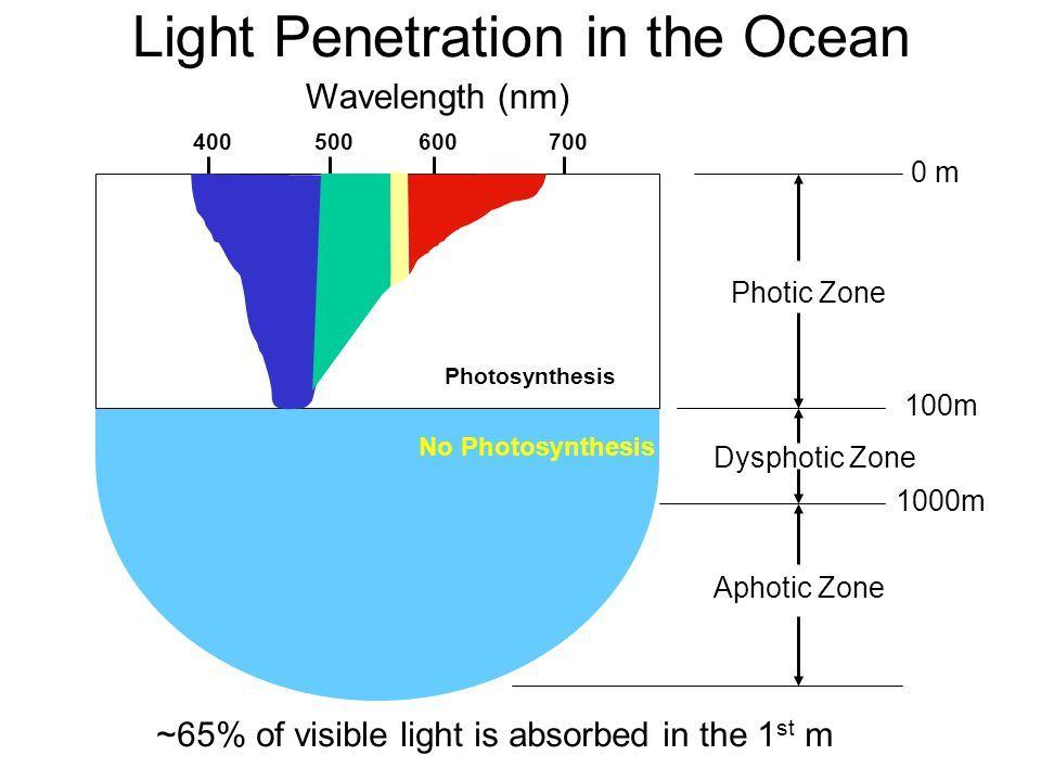 Visible light penetration