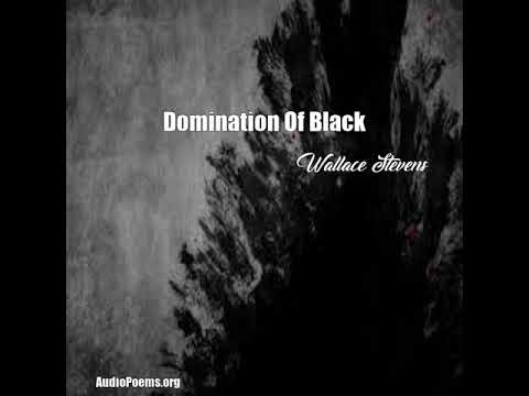 White L. reccomend Domination of black by wallace stevens