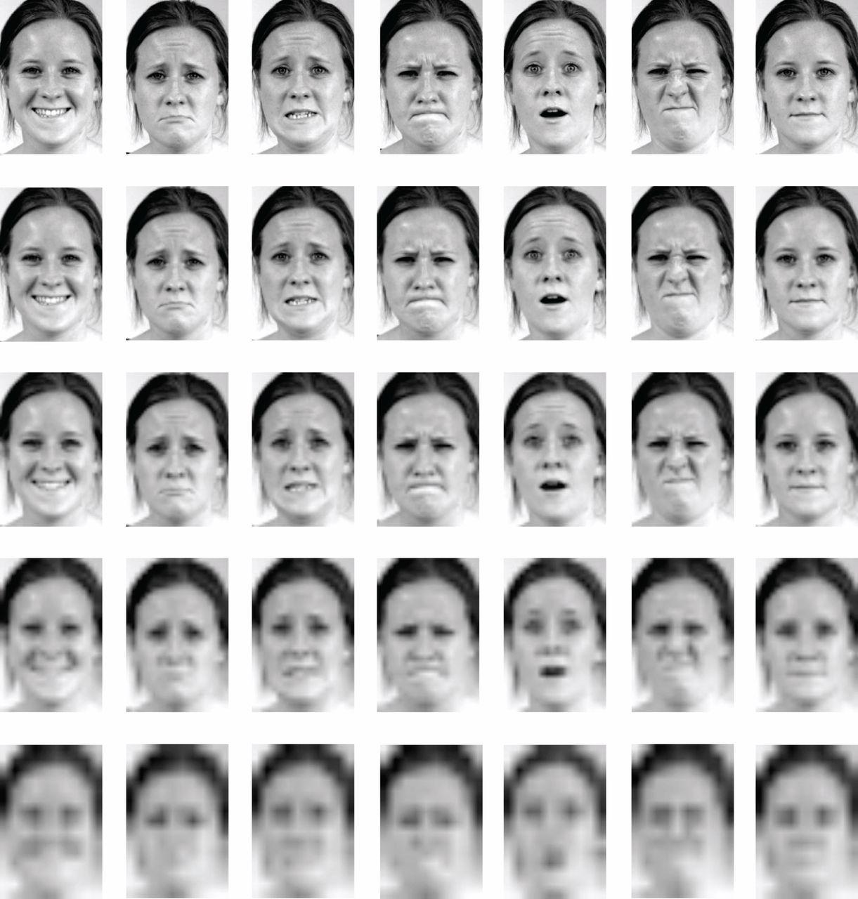 Thundercloud reccomend Ekman and friesen pictures of facial affect