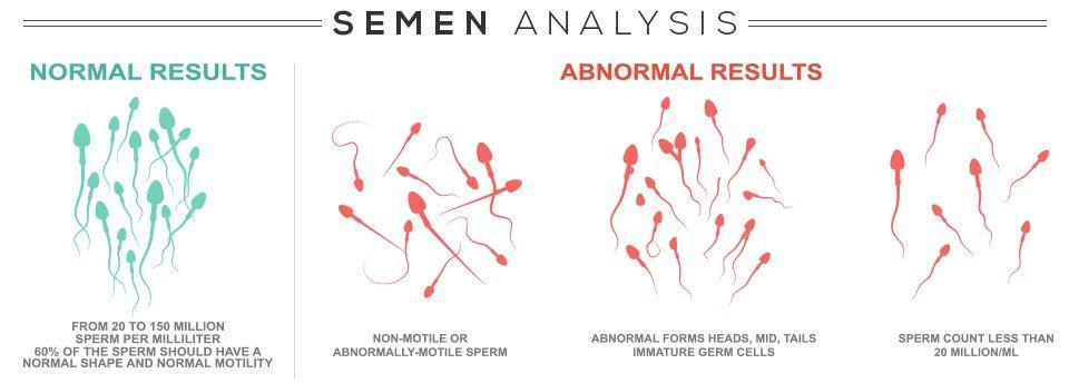 best of Sperm Normal counts male