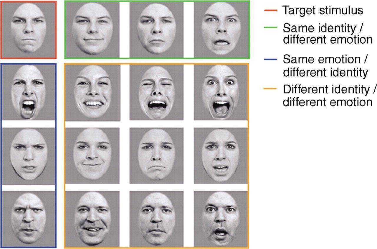 Smartie reccomend Facial recognition experiment