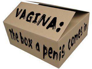 Box penis vagina
