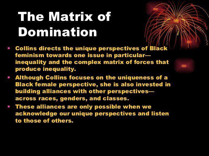 Meaning of matrix of domination