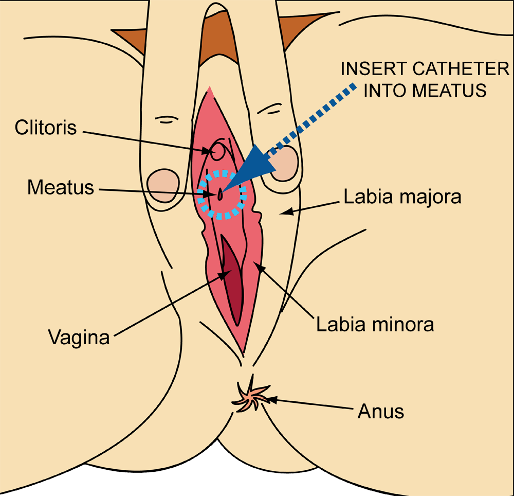 Finding your clitoris