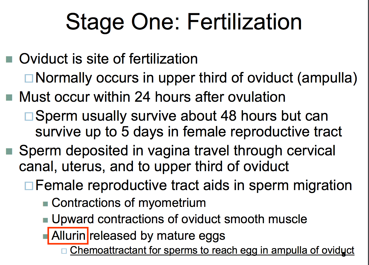 Daffodil reccomend Sperm life period