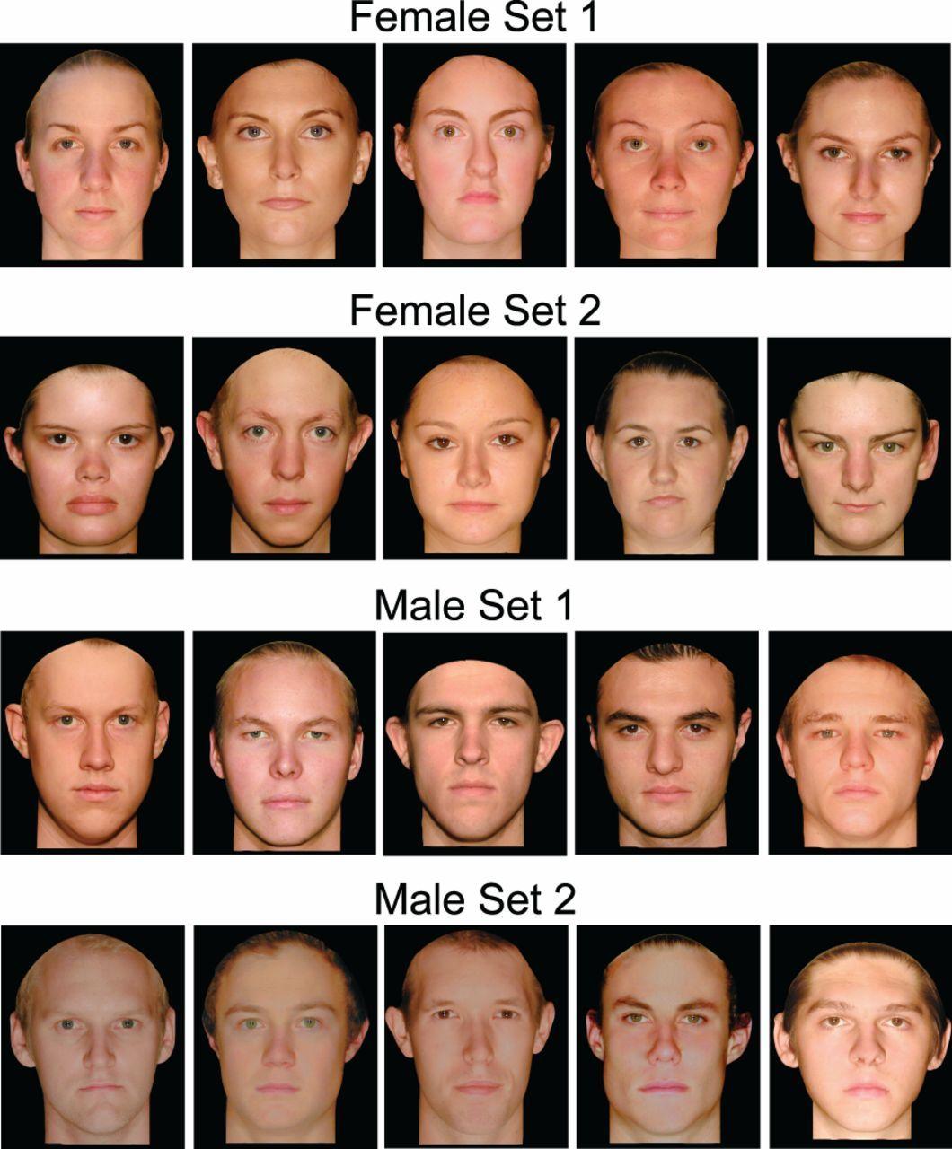 Road G. reccomend Facial recognition experiment