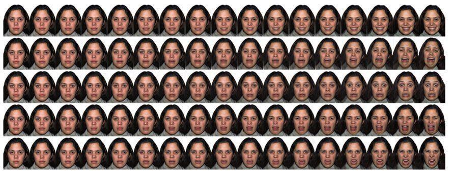 Wild K. reccomend Facial recognition experiment