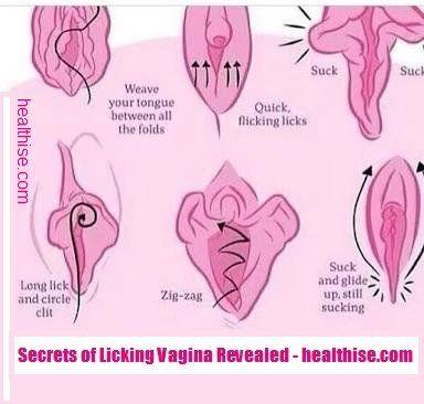 best of Lick to Proper a vagina way