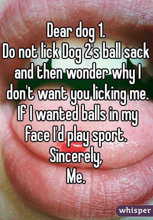 Earth E. reccomend Lick me ball
