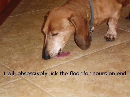 Lick the floor