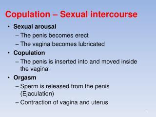 best of Penis copulation and Vagina